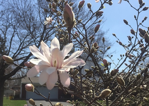 warm-weather-picture